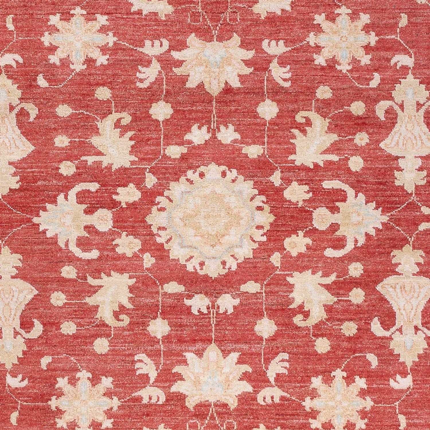 Ziegler Teppich - 227 x 172 cm - rot - Image 2