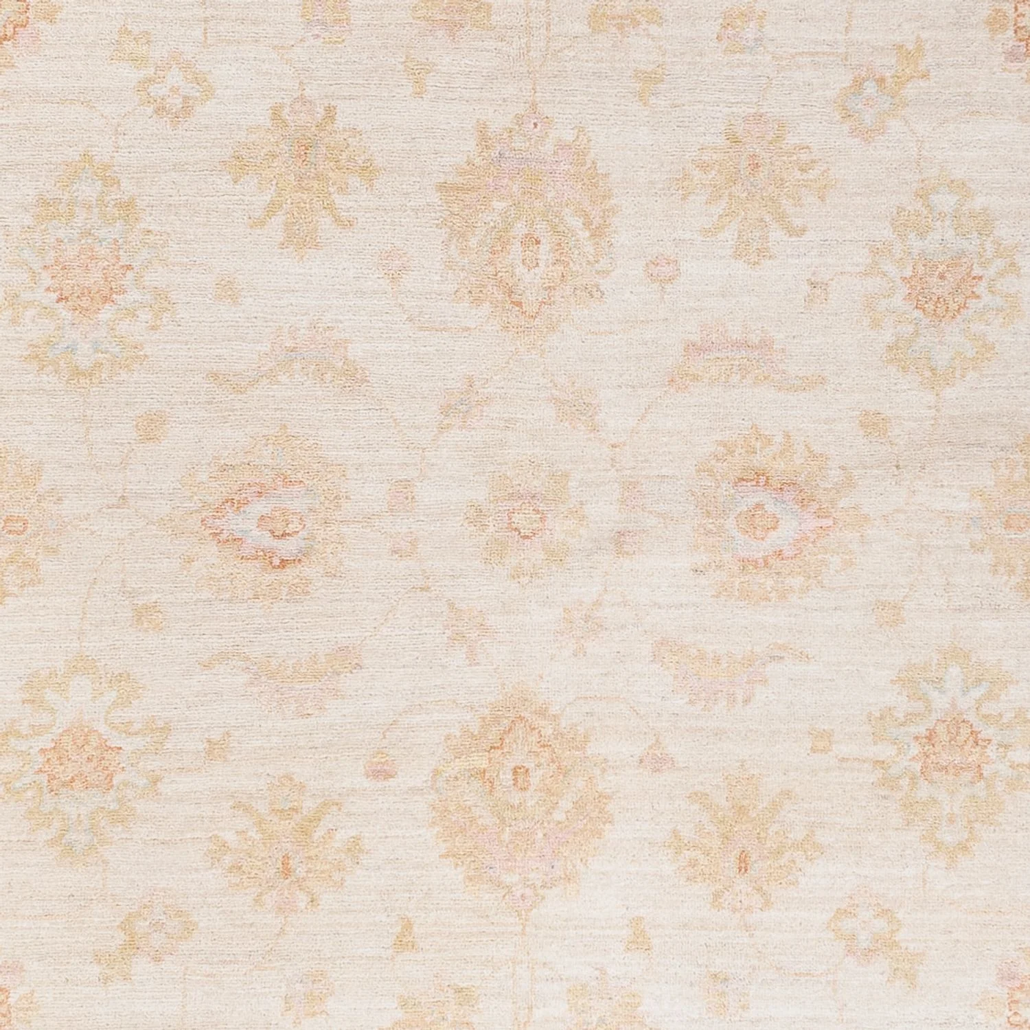Ziegler Teppich - 257 x 173 cm - creme - Image 2