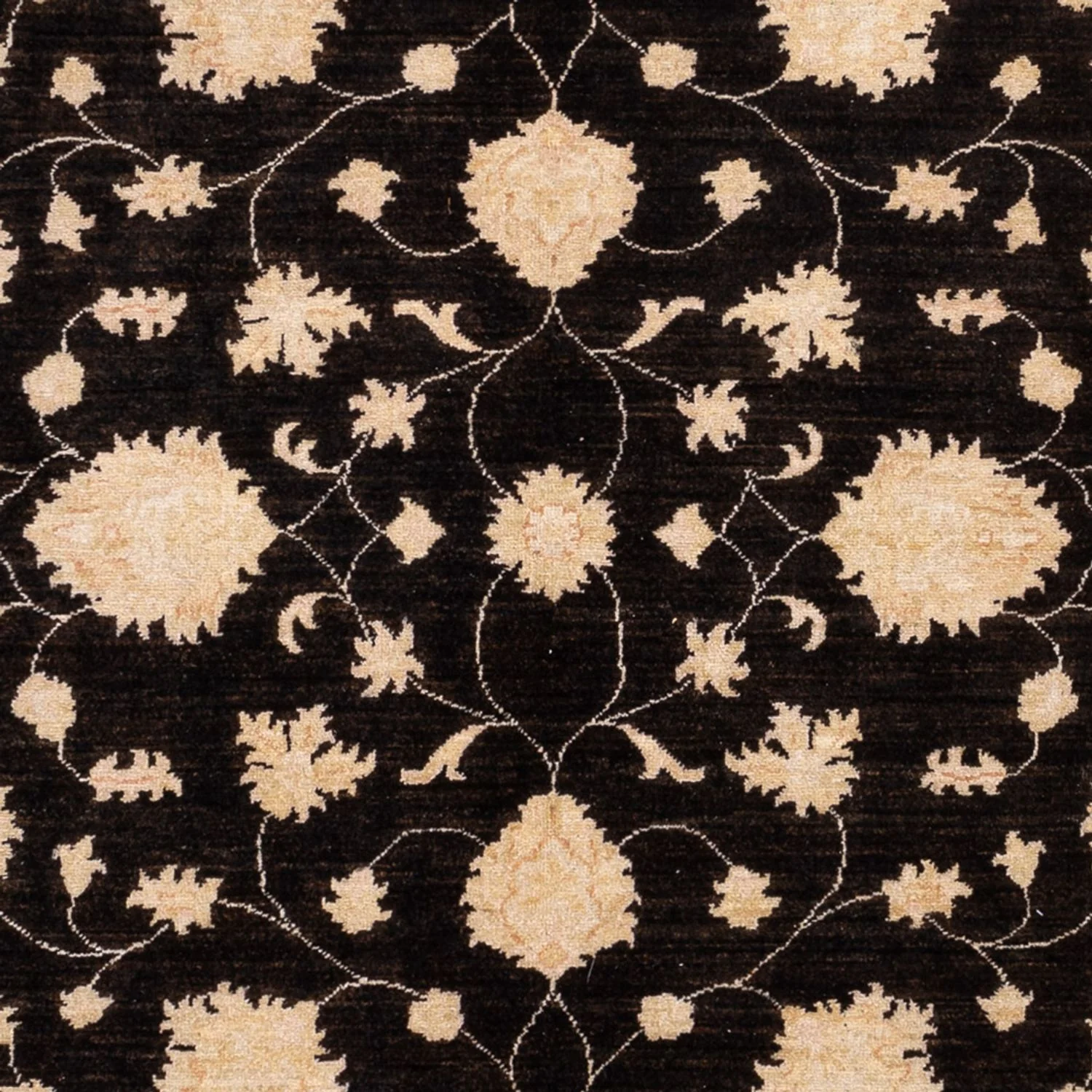 Ziegler Teppich - 291 x 204 cm - schwarz - Image 2