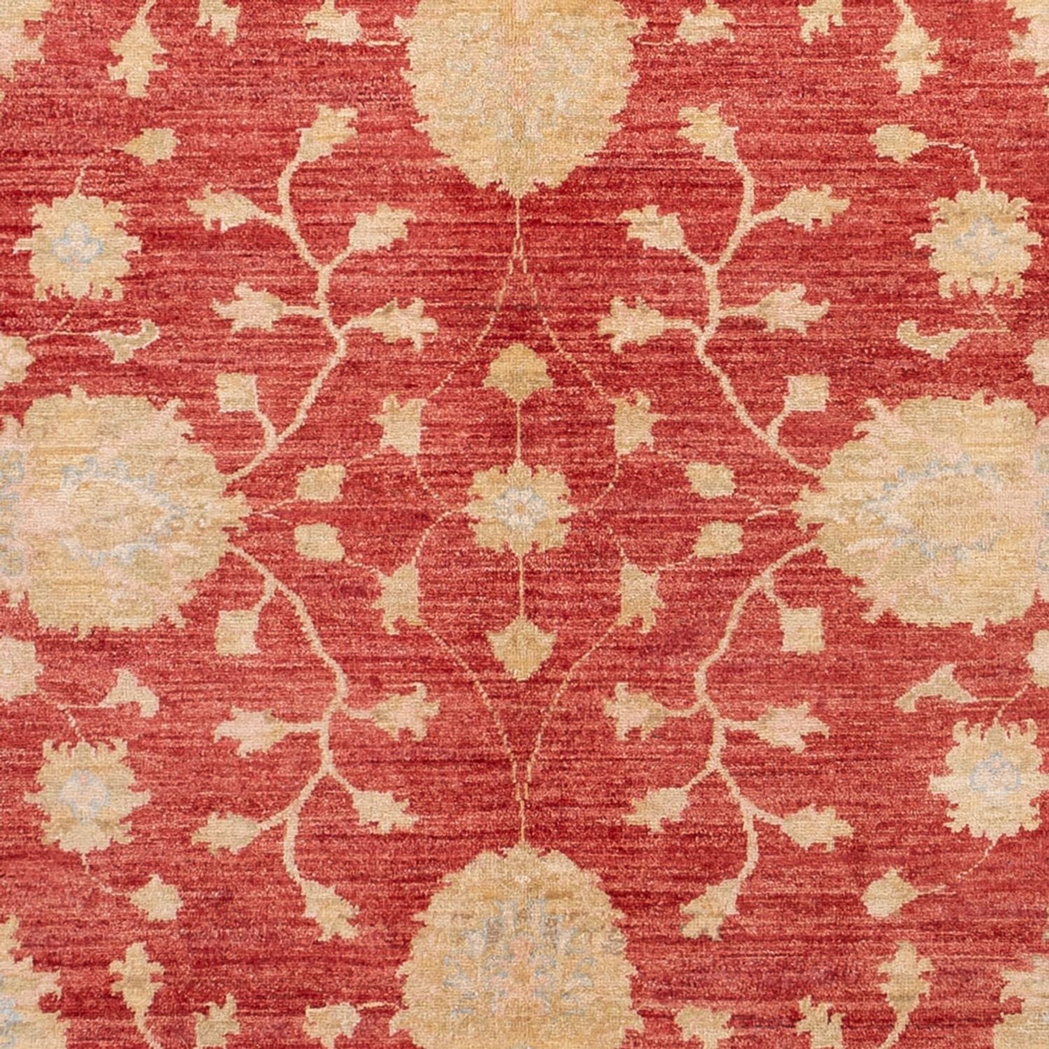 Ziegler Teppich - 291 x 207 cm - rot - Image 2