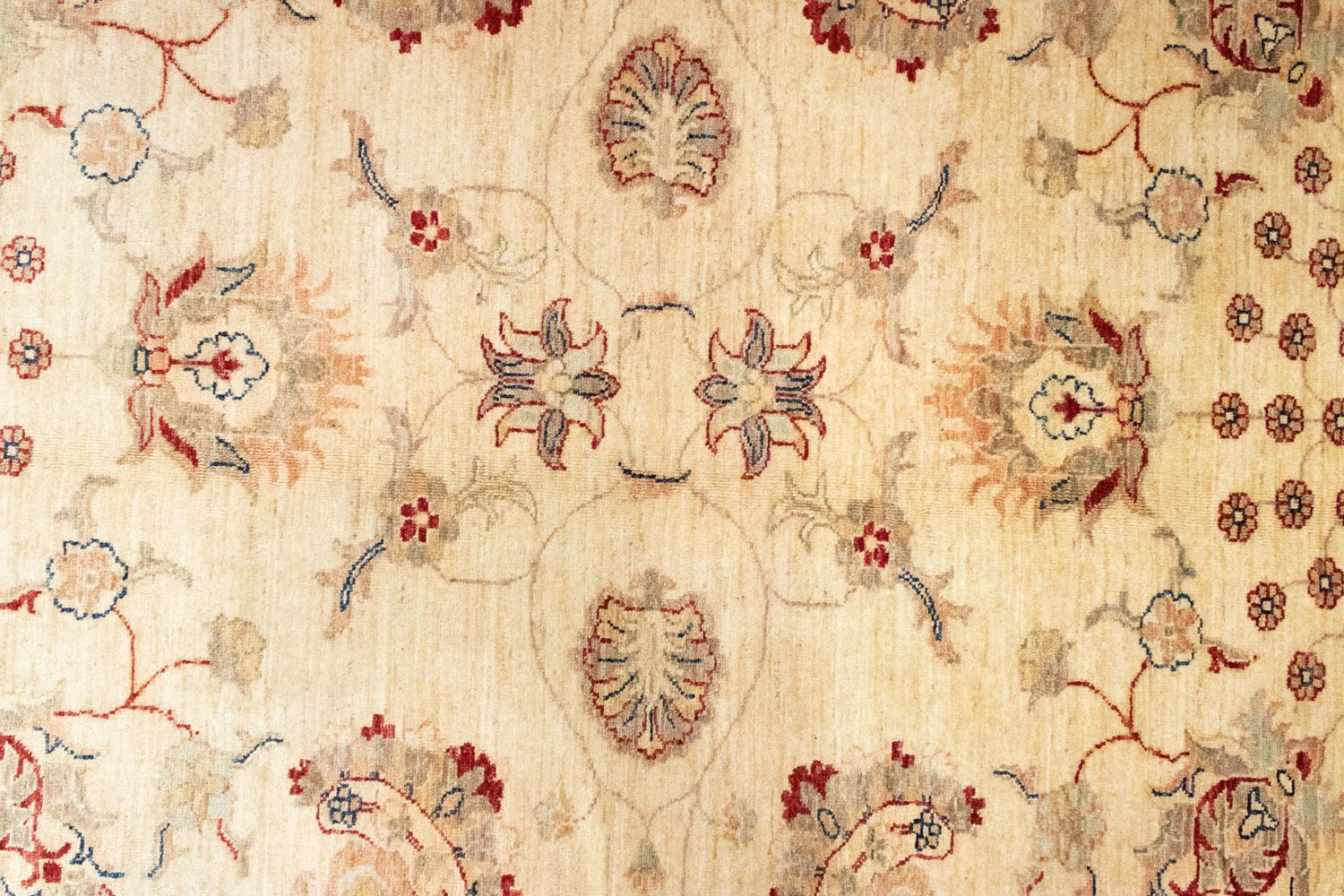 Ziegler Teppich 294 x 211 cm - beige - Image 2