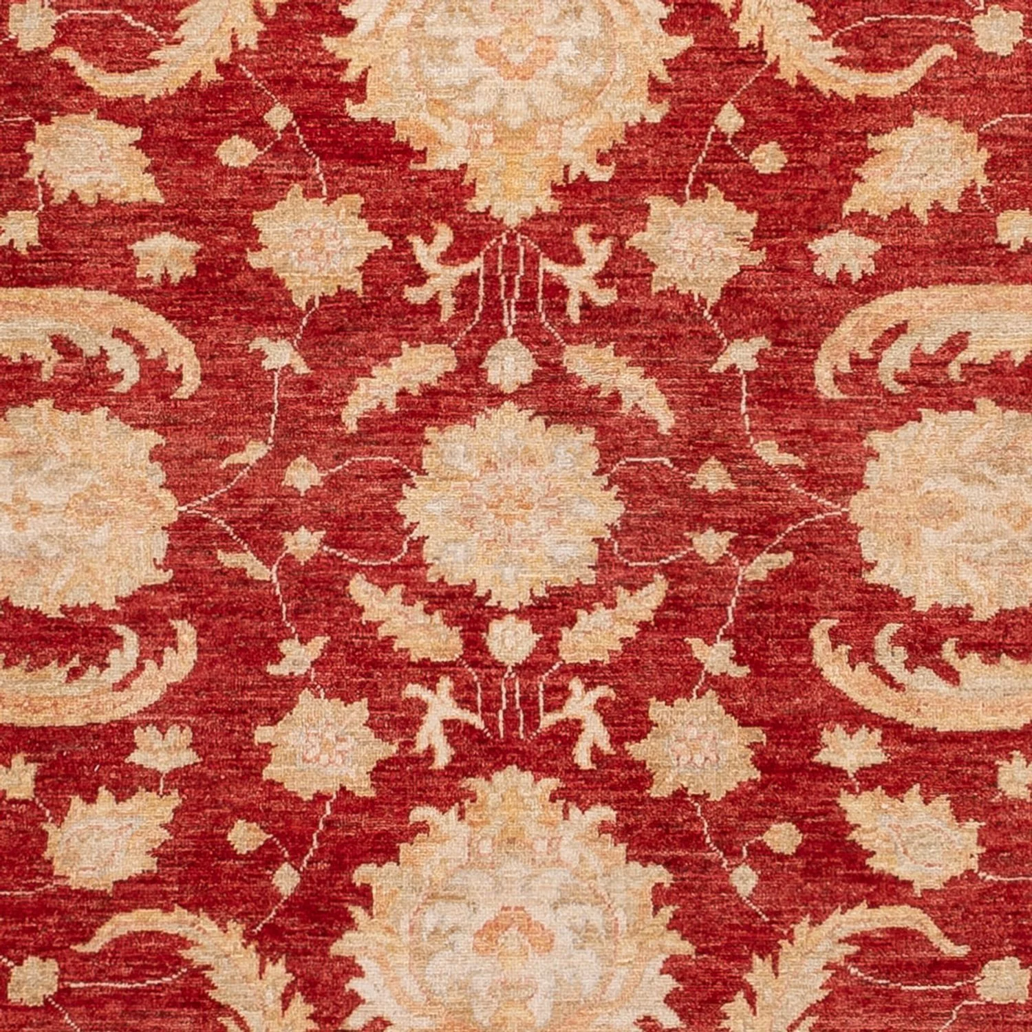 Ziegler Teppich 297x252cm - Orientteppich - Image 2