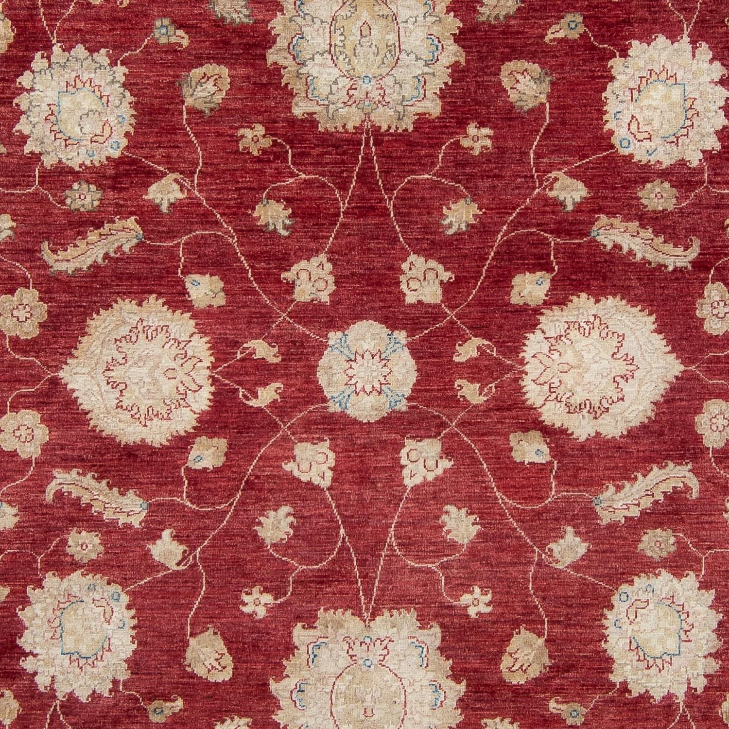 Ziegler Teppich 300 x 238 cm - rot - Image 2