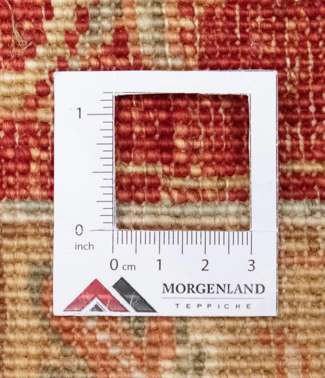 Ziegler Teppich 302 x 252 cm - beige - Image 6