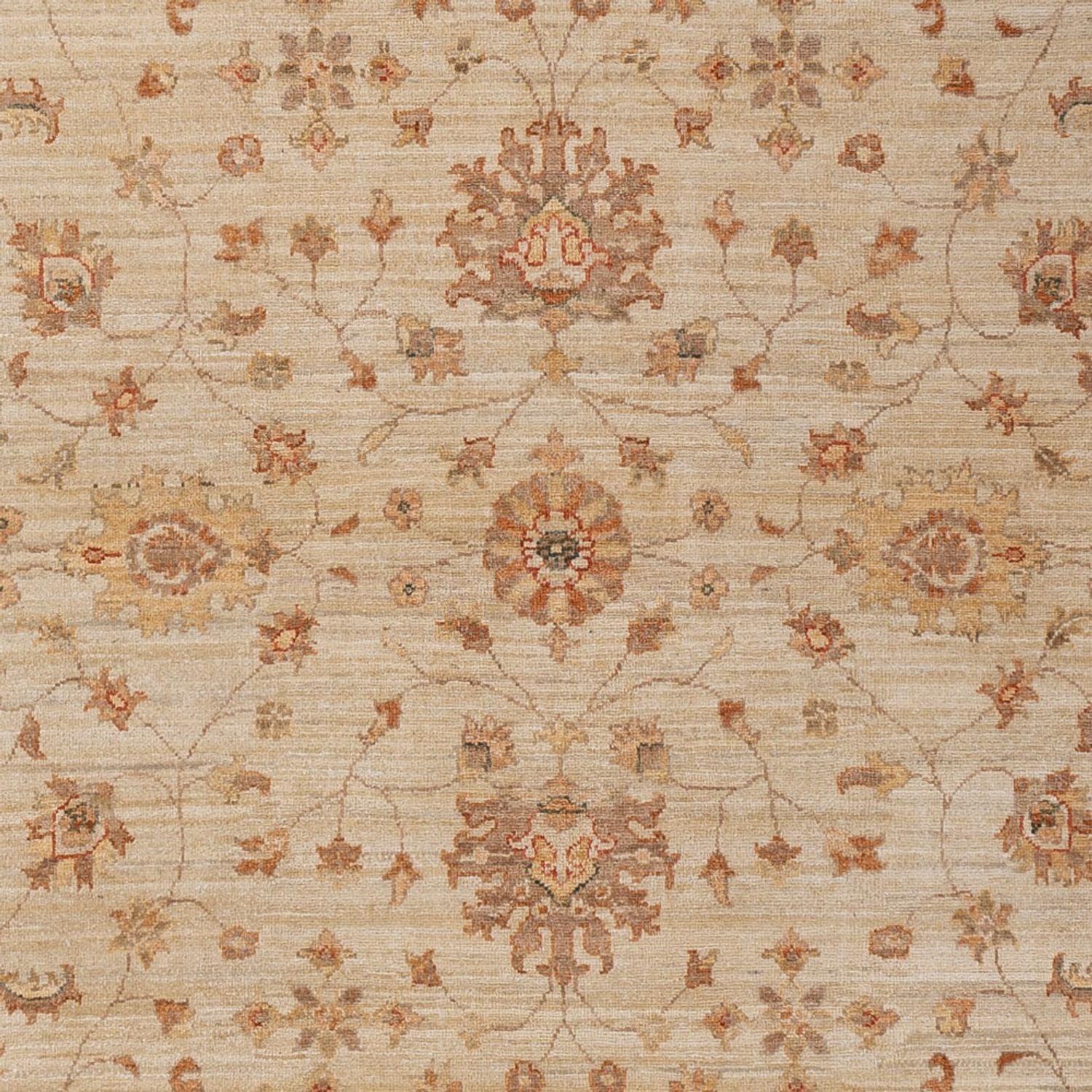 Ziegler Teppich 306x205cm - Orientteppich - Image 2