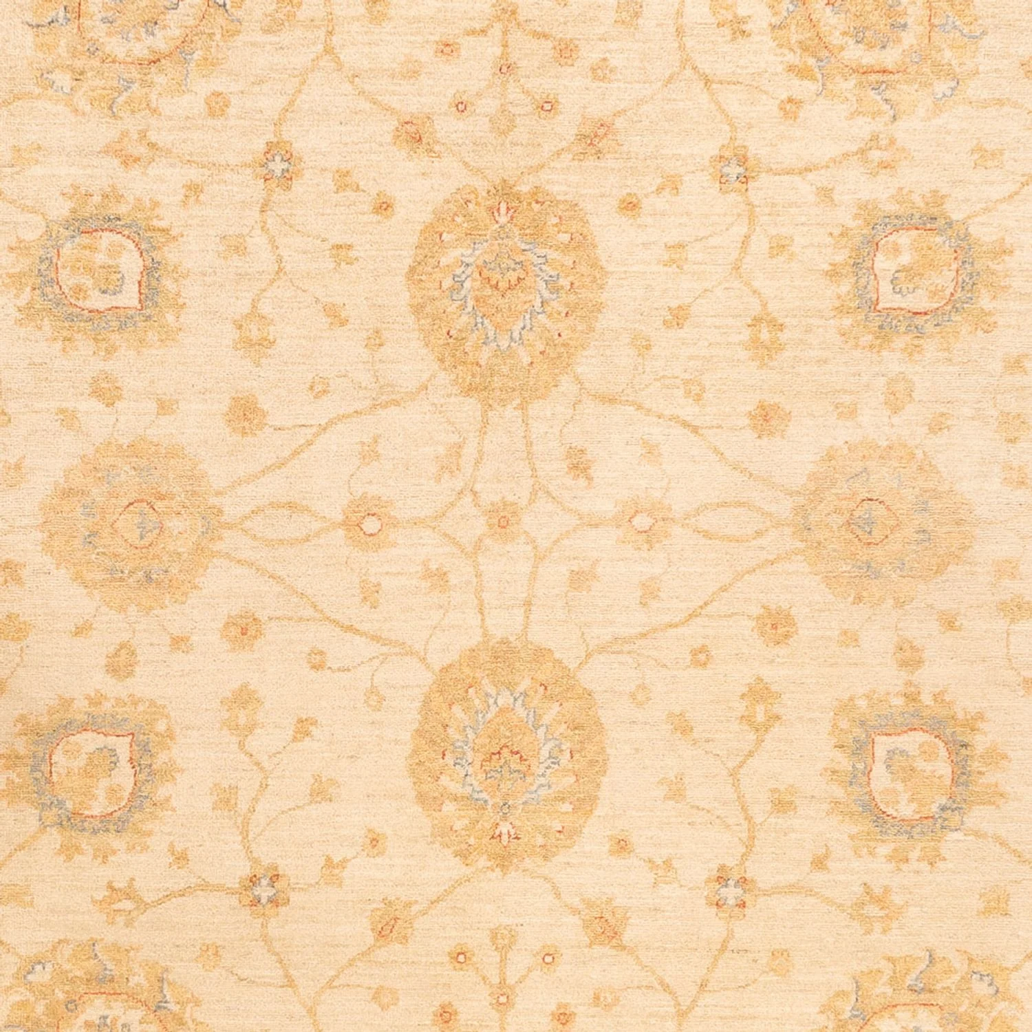 Ziegler Teppich - 325 x 250 cm - beige - Image 2