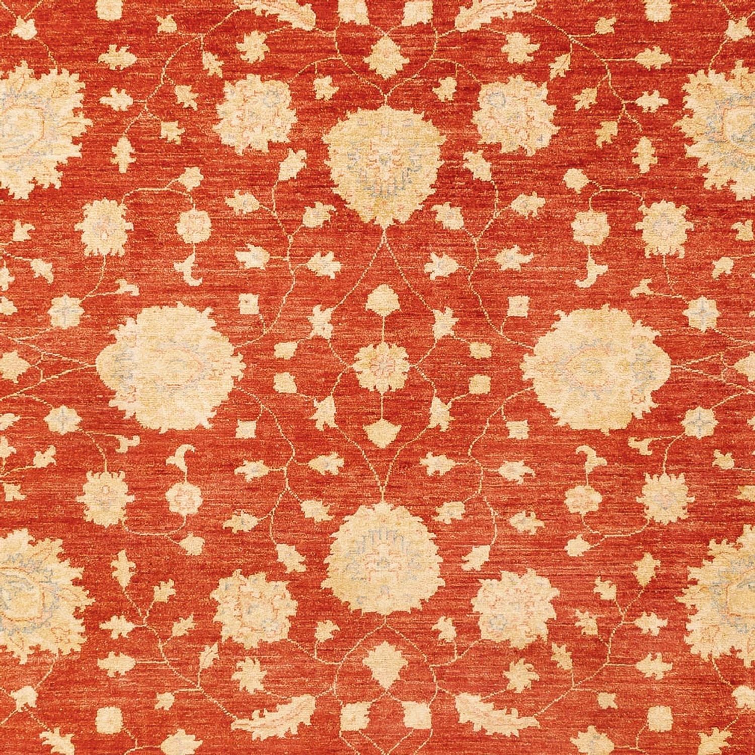 Ziegler Teppich - 336 x 258 cm - rot - Image 2