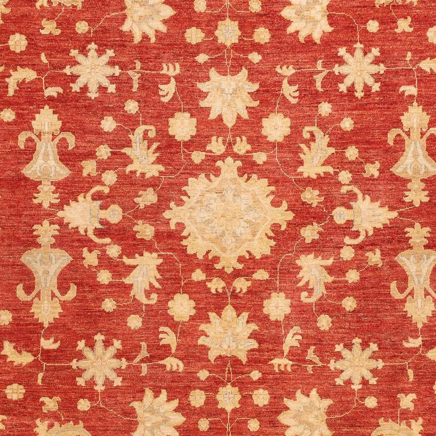 Ziegler Teppich - 343 x 254 cm - rot - Image 2