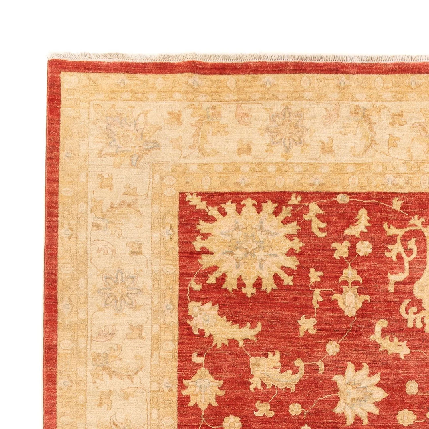 Ziegler Teppich - 343 x 254 cm - rot - Image 3