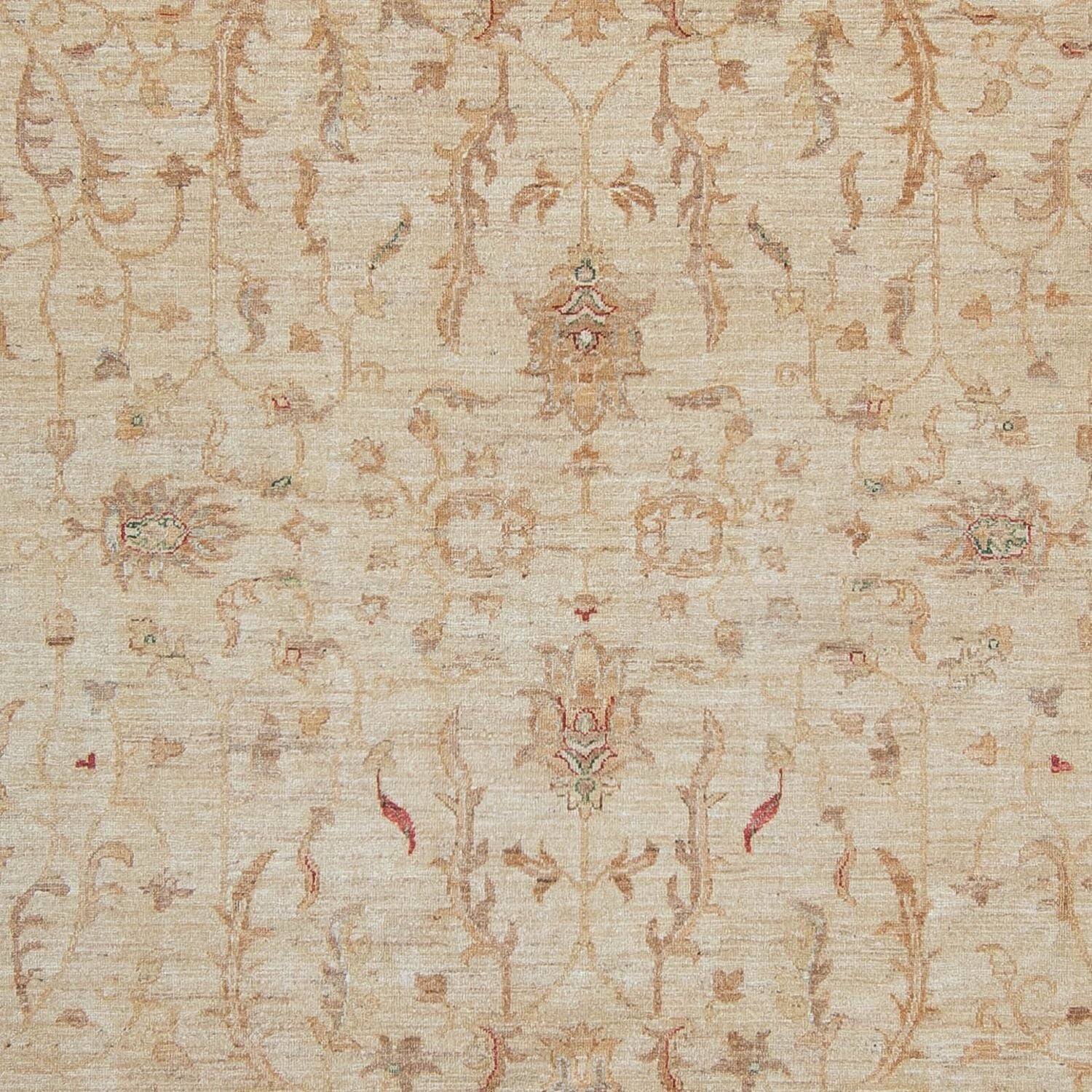Ziegler Teppich 347 x 245 cm - hellbeige - Image 2