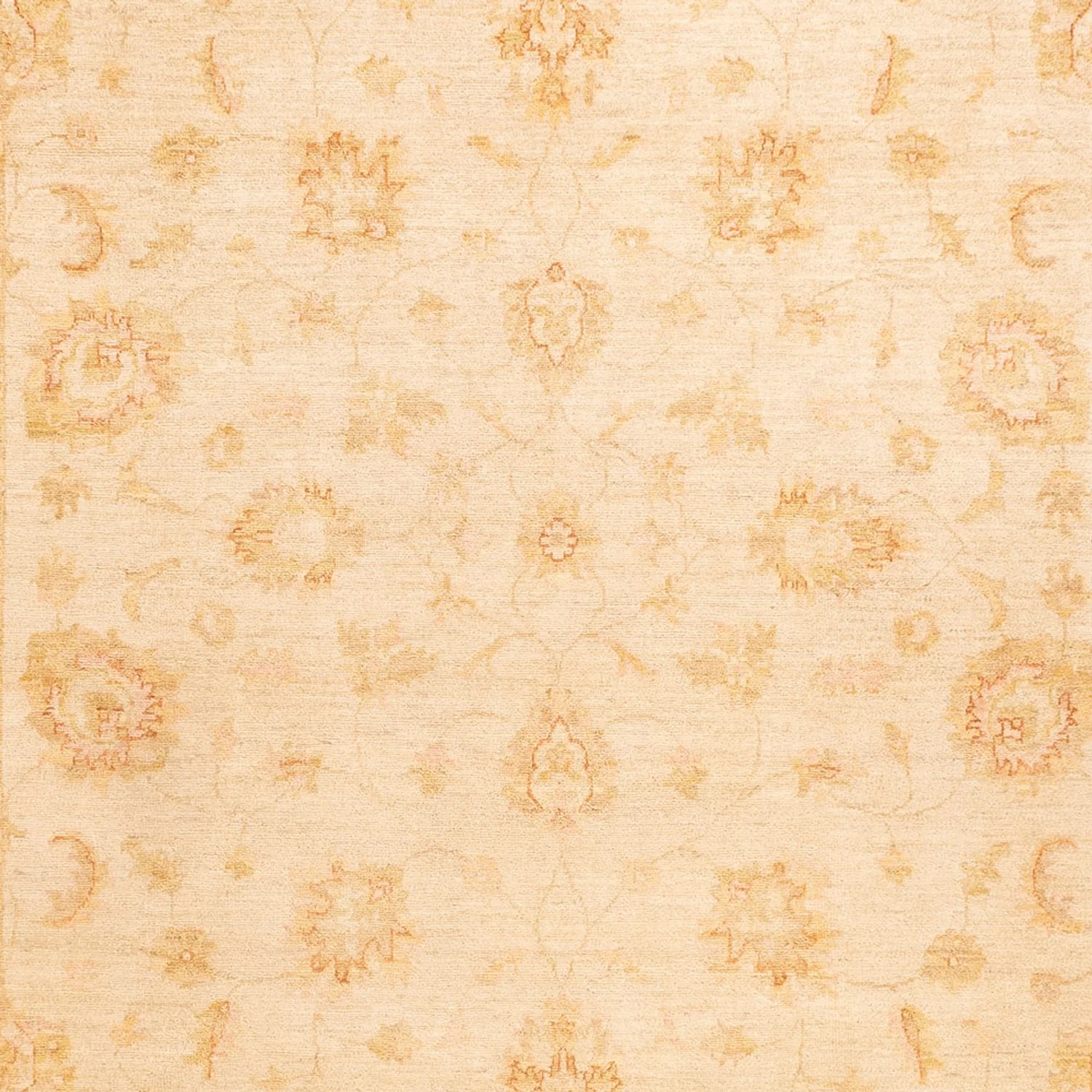 Ziegler Teppich - 350 x 253 cm - beige - Image 2