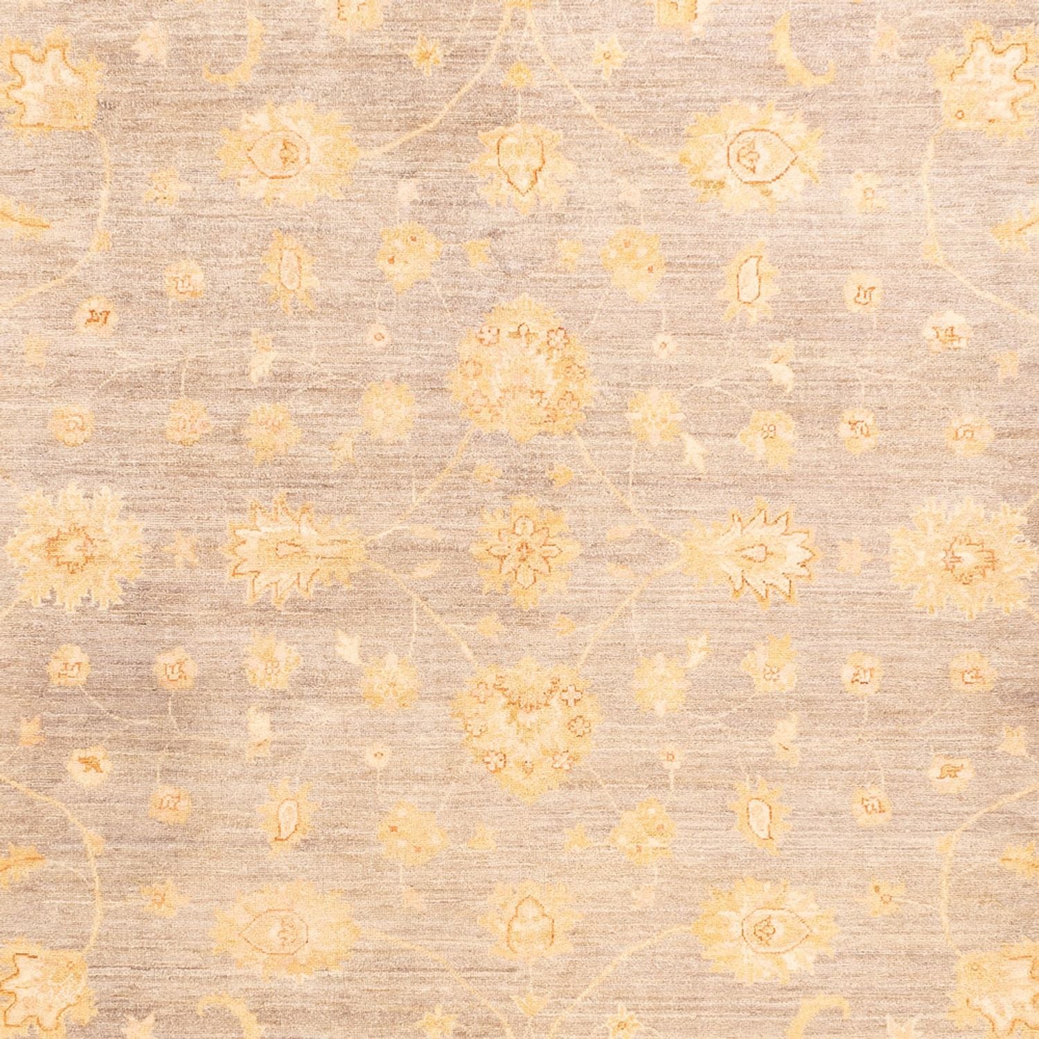 Ziegler Teppich 354x260cm - Orientteppich - Image 2