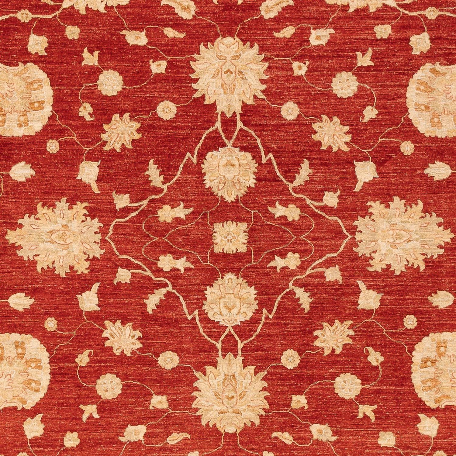Ziegler Teppich 360x268cm - Orientteppich - Image 2
