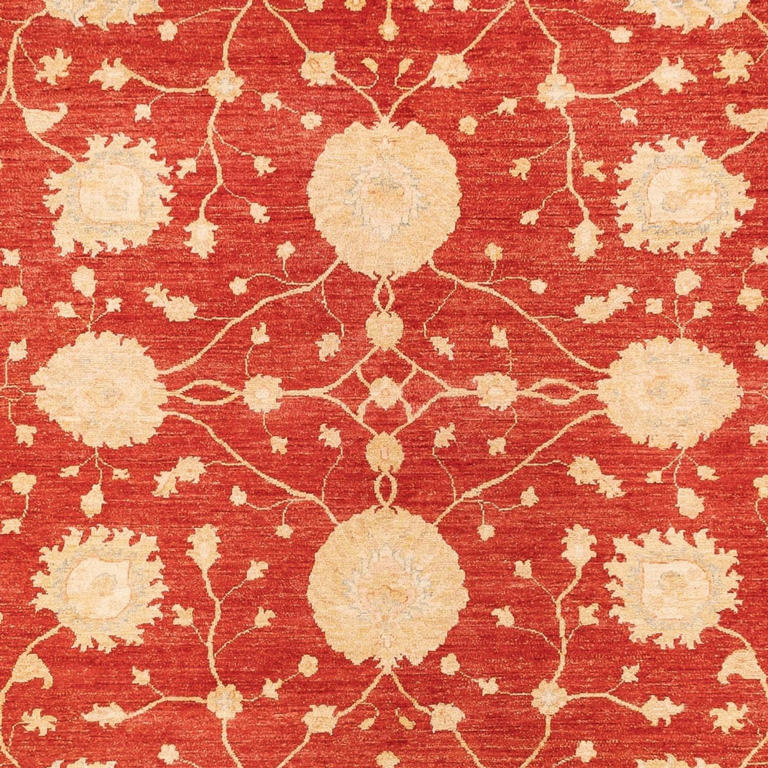 Ziegler Teppich 367x277cm - Orientteppich - Image 2