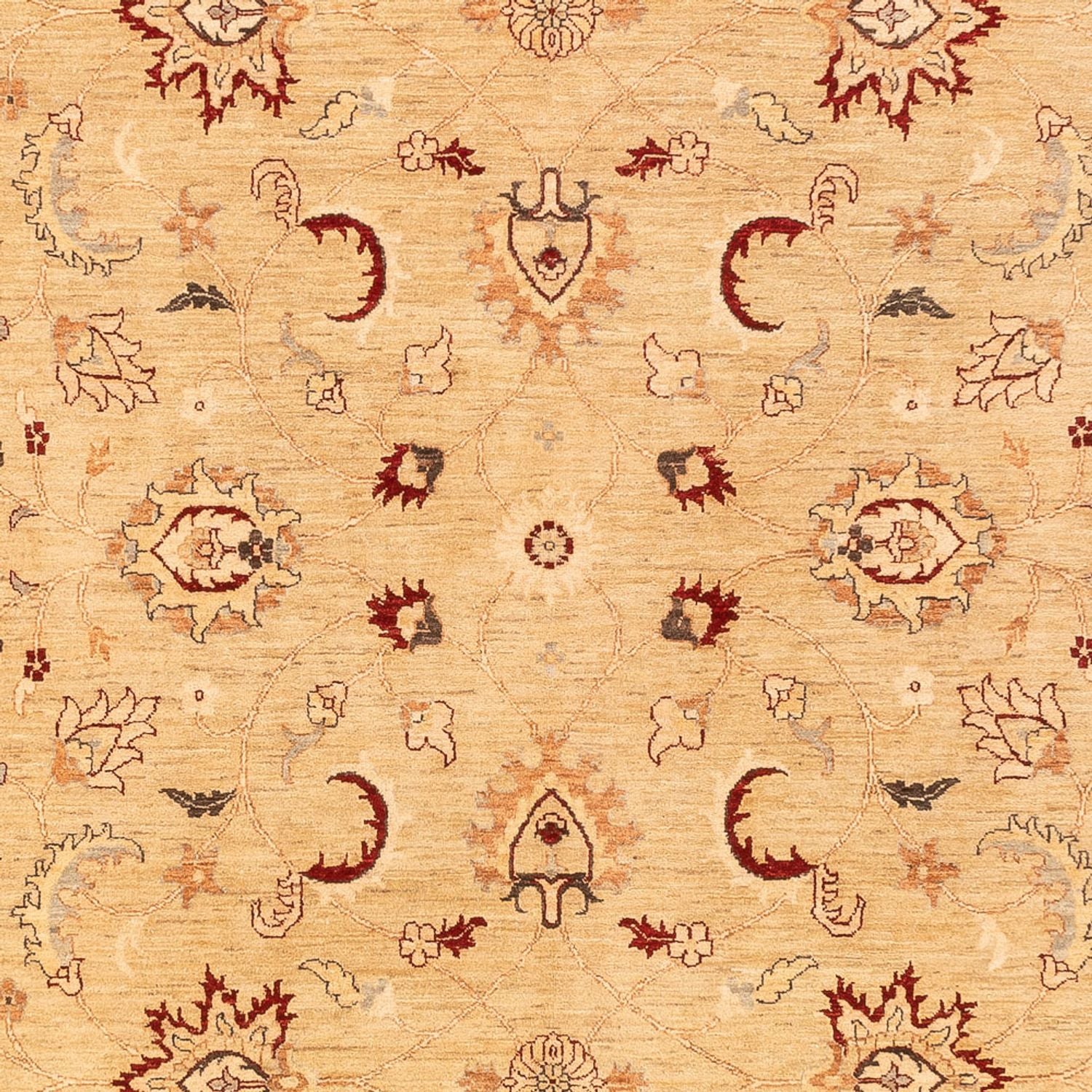 Ziegler Teppich 383x271cm - Orientteppich - Image 2