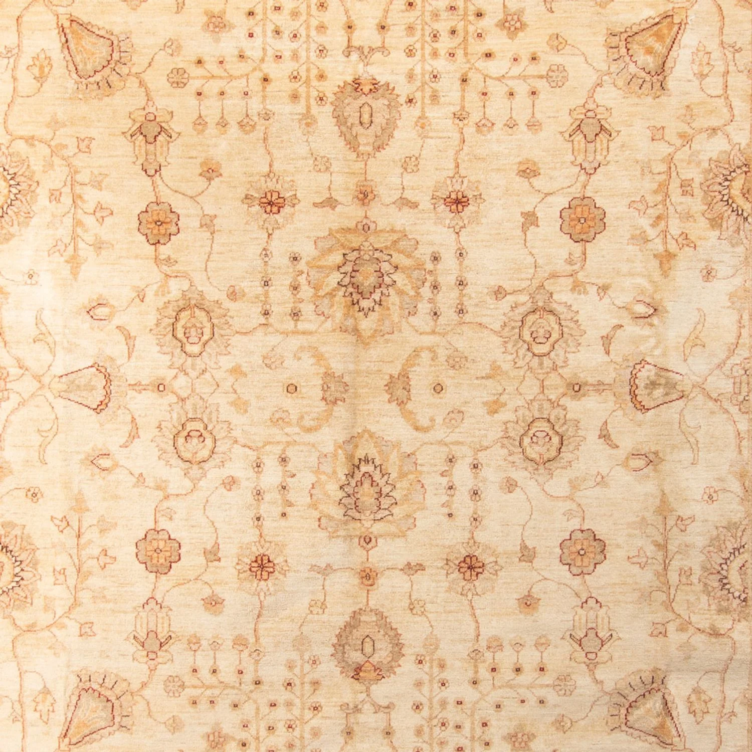 Ziegler Teppich 406 x 288 cm - beige - Image 2