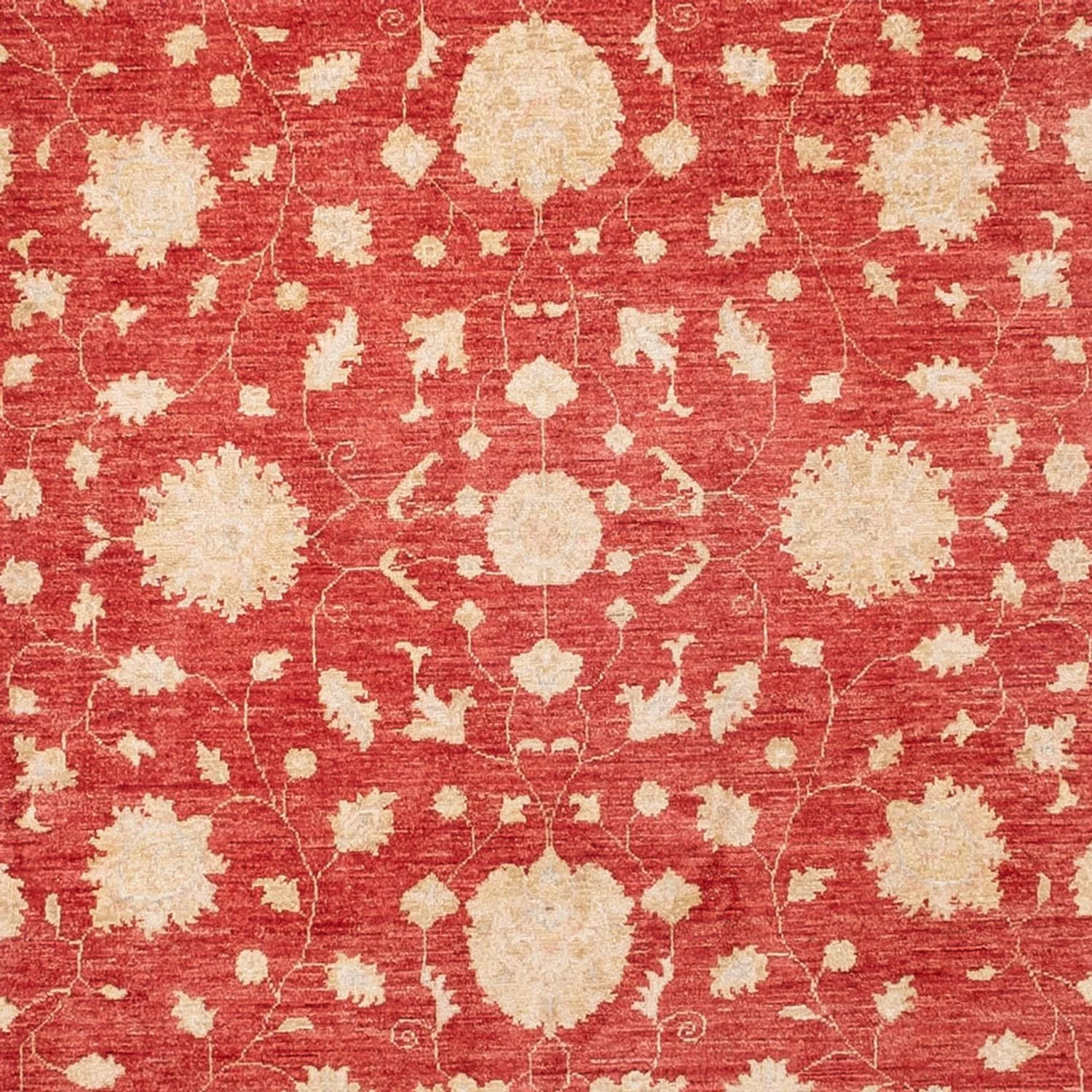 Ziegler Teppich 413x198cm - Orientteppich - Image 2