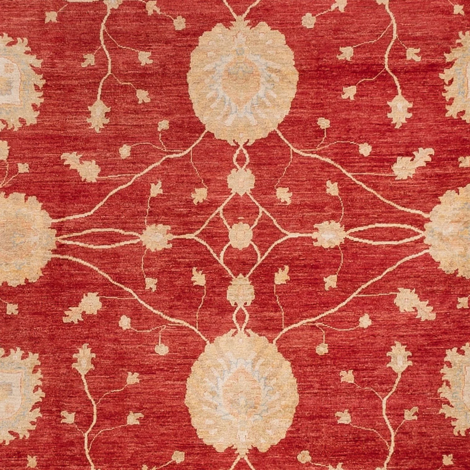 Ziegler Teppich 465x353cm - Orientteppich - Image 2