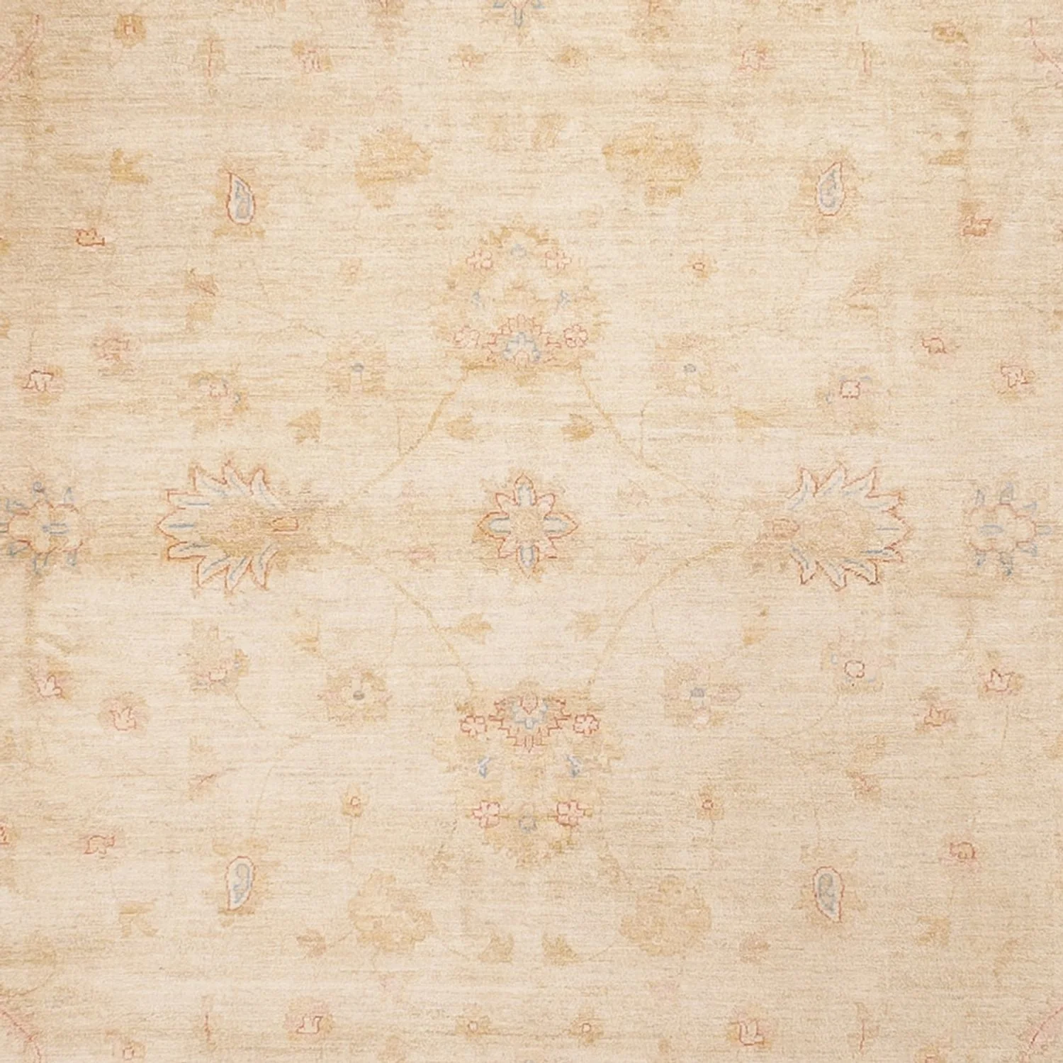 Ziegler Teppich 488x398cm - Orientteppich - Image 2
