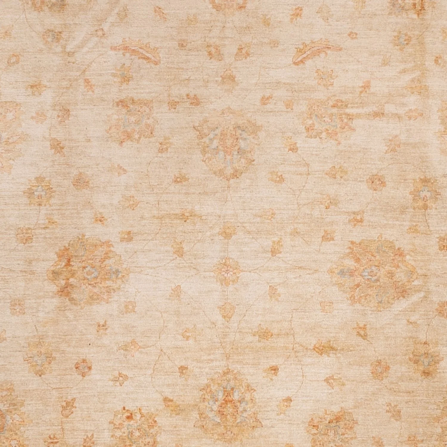 Ziegler Teppich 541x348cm - Orientteppich - Image 2