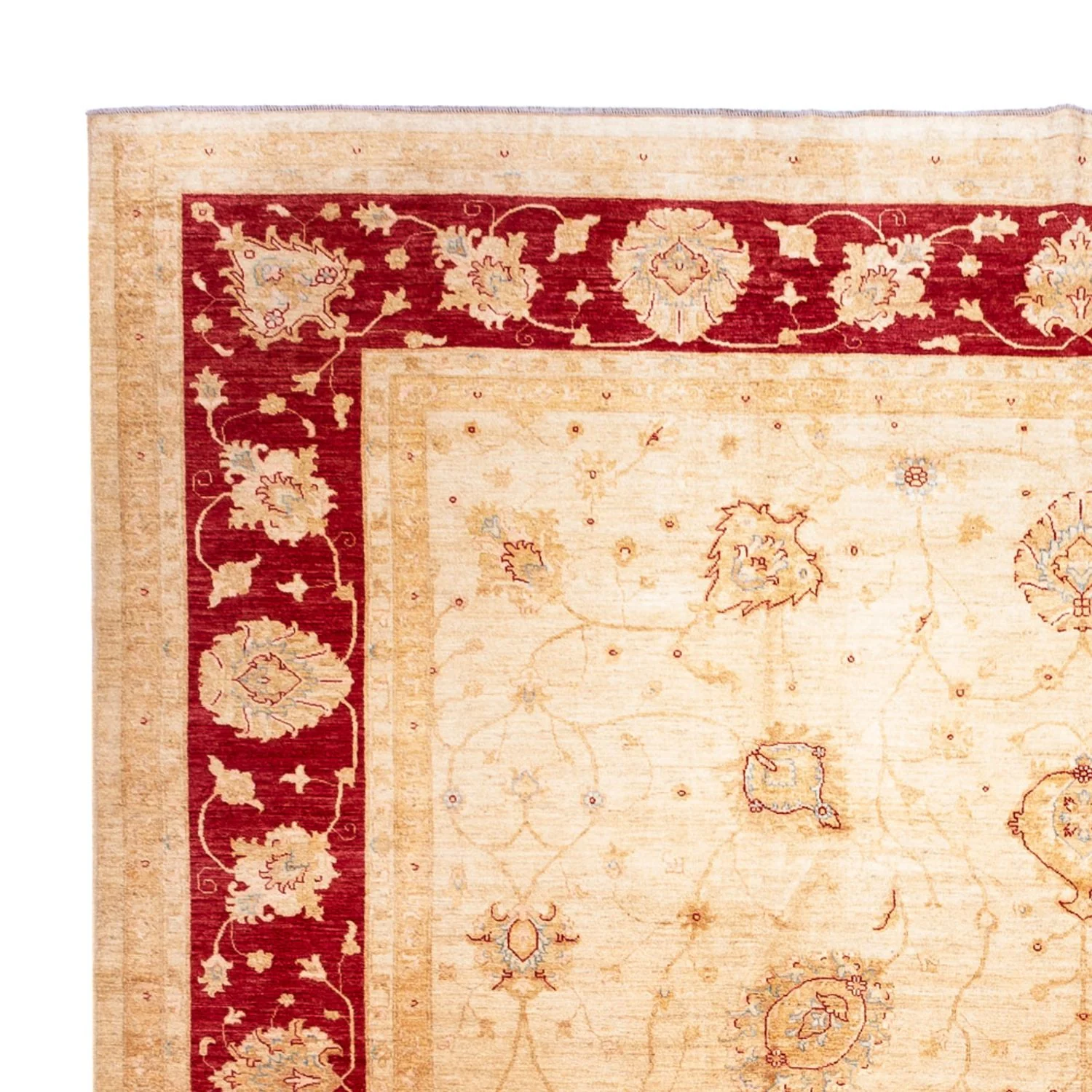 Ziegler Teppich 584x394cm - Orientteppich - Image 3