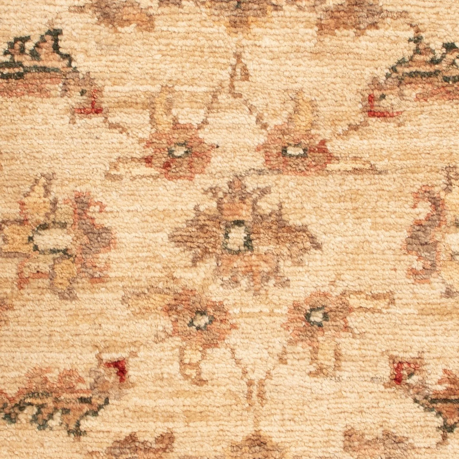 Ziegler Teppich 65x50cm - Orientteppich - Image 2