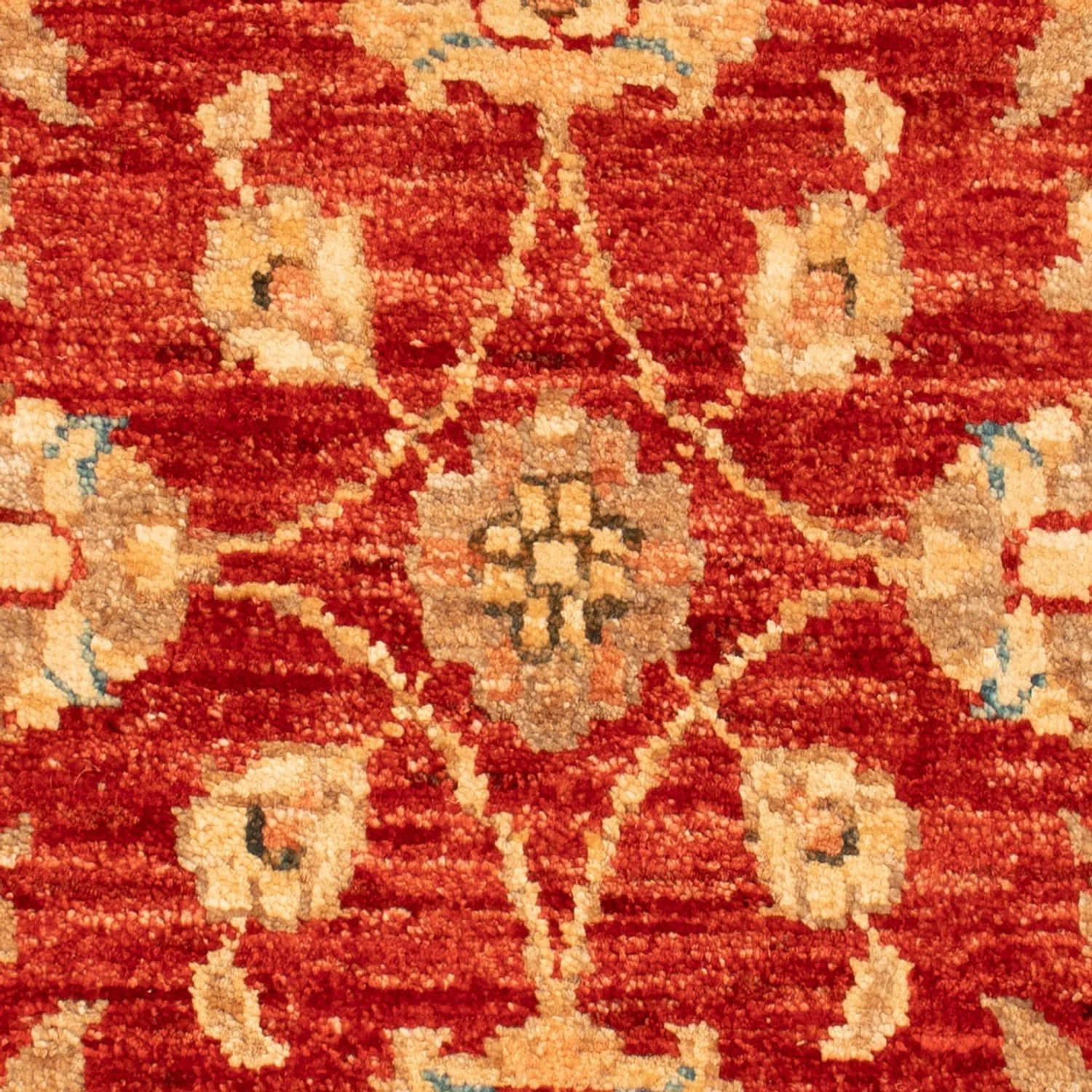 Ziegler Teppich 65x53cm - Orientteppich - Image 2