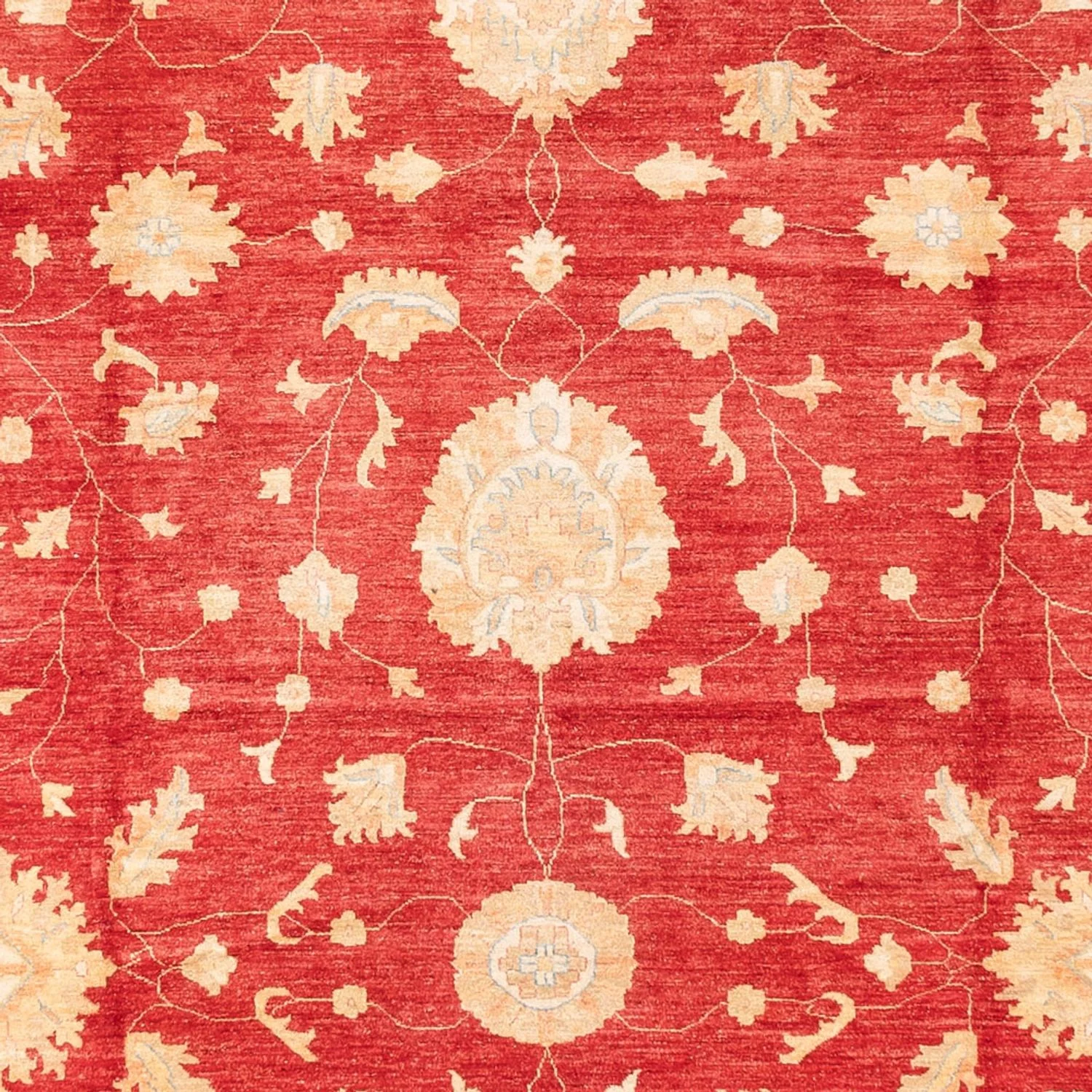 Ziegler Teppich 686x402cm - Orientteppich - Image 2