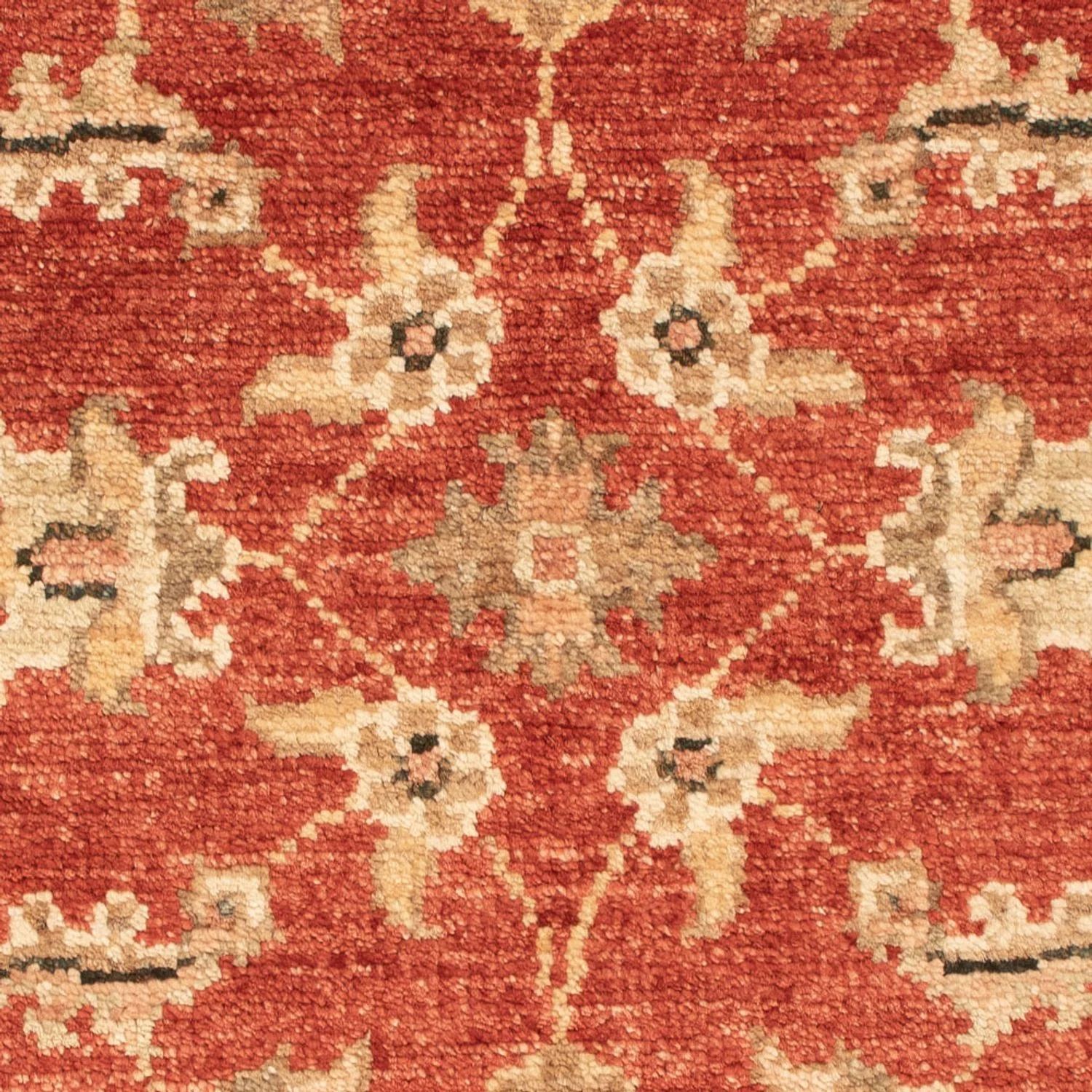 Ziegler Teppich 73x51cm - Orientteppich - Image 2