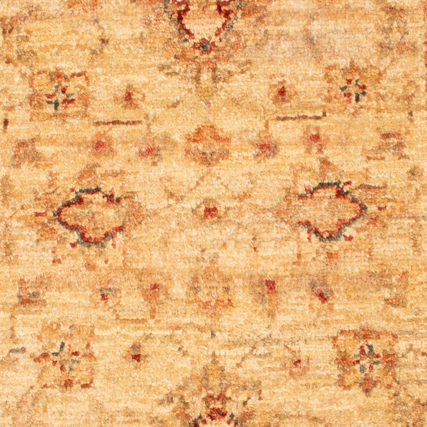 Ziegler Teppich - 88 x 61 cm - beige - Image 2