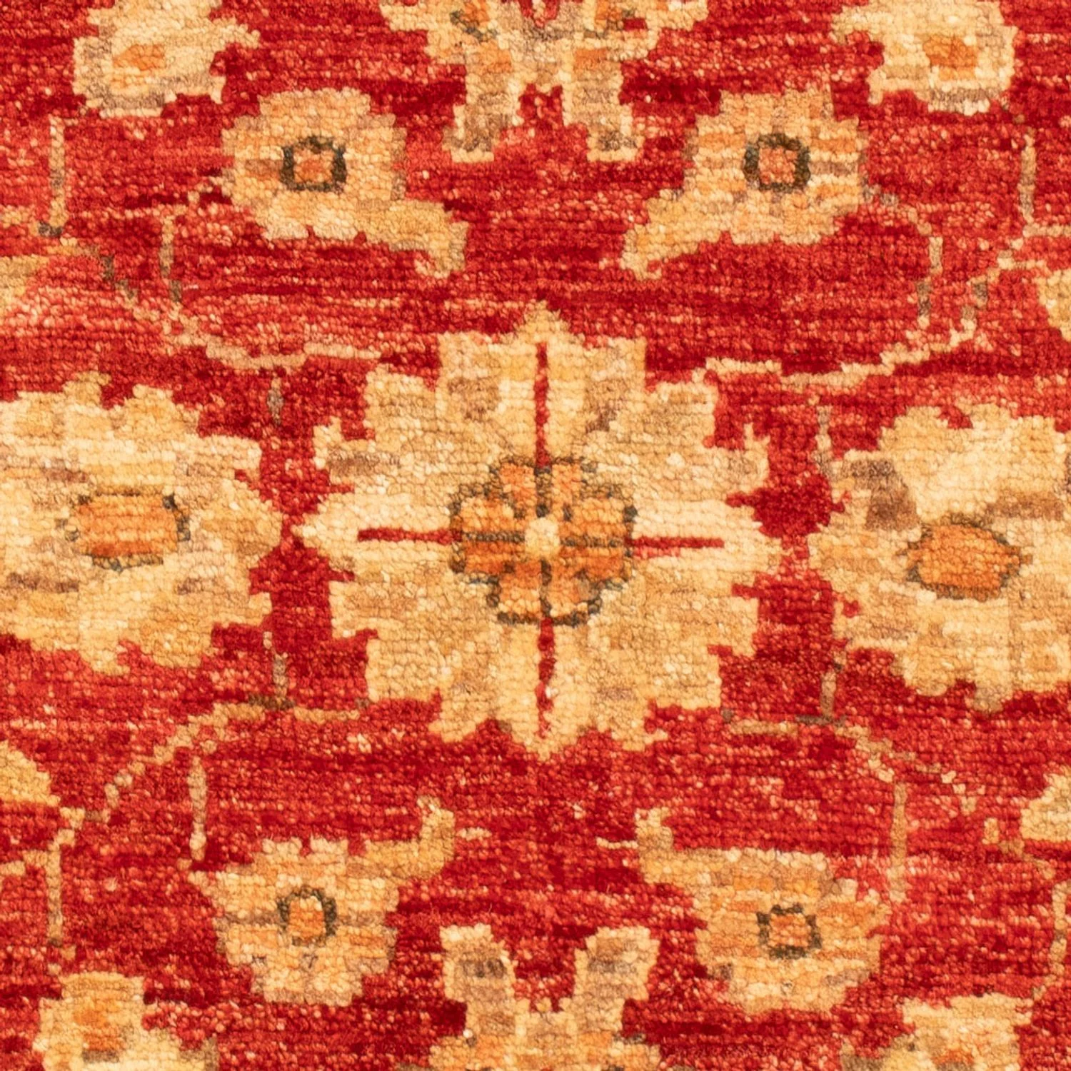 Ziegler Teppich - 92 x 60 cm - rot - Image 2
