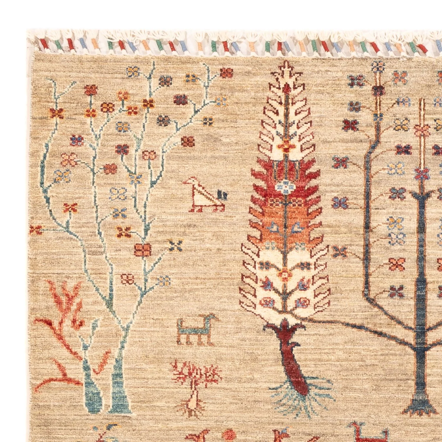 Ziegler Teppich - Ariana - 178 x 122 cm - beige - Image 3