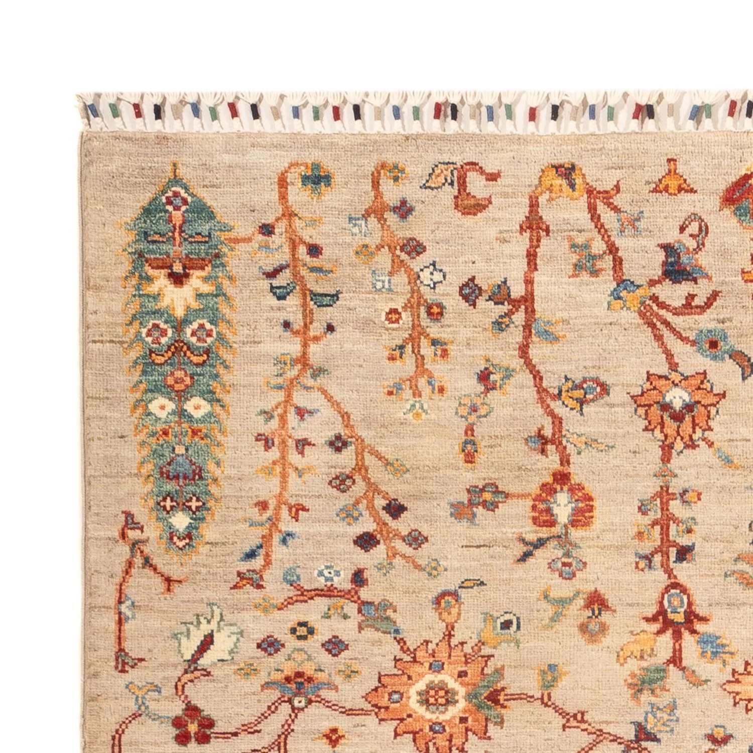 Ziegler Teppich - Ariana - 181 x 125 cm - mehrfarbig - Image 3