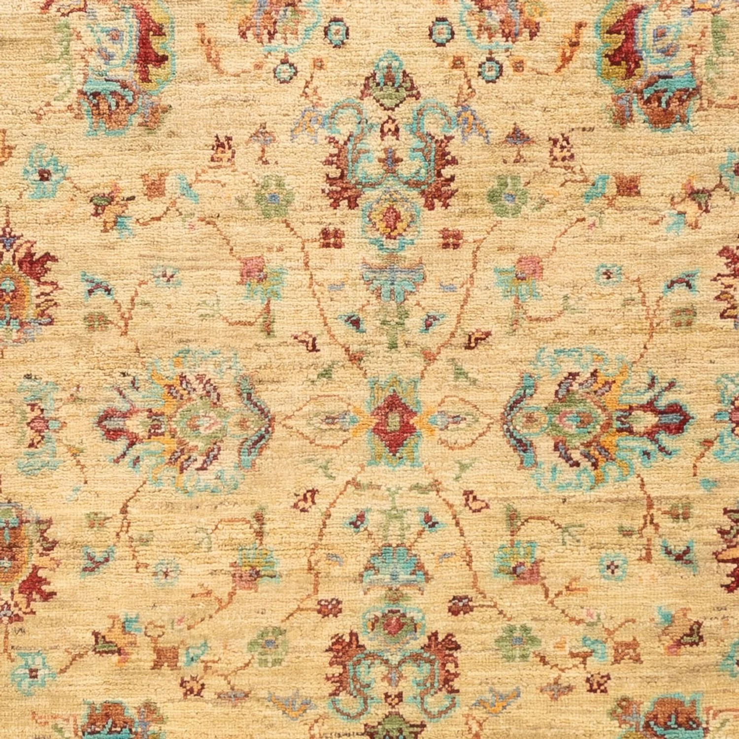 Ziegler Teppich - Ariana - 183 x 122 cm - dunkelbeige - Image 2