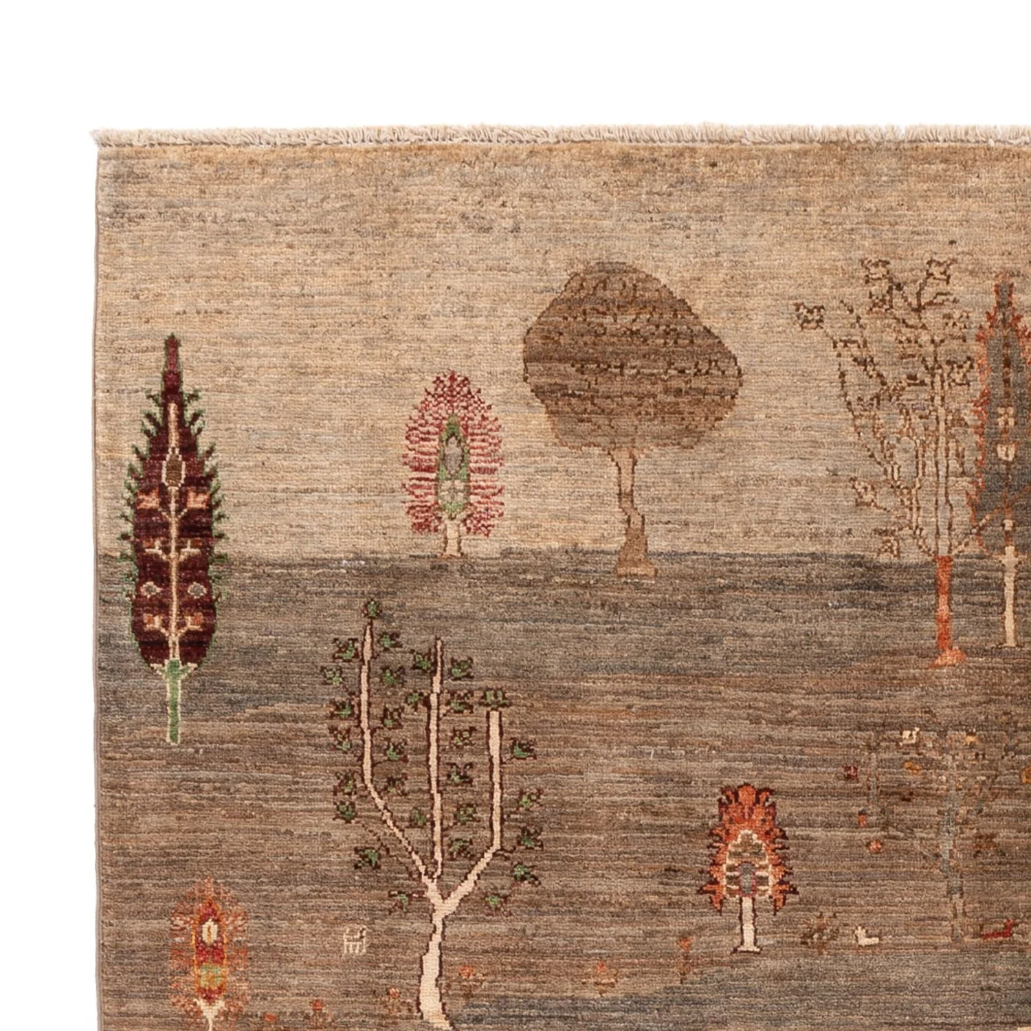 Ziegler Teppich - Ariana - 246 x 175 cm - beige - Image 3