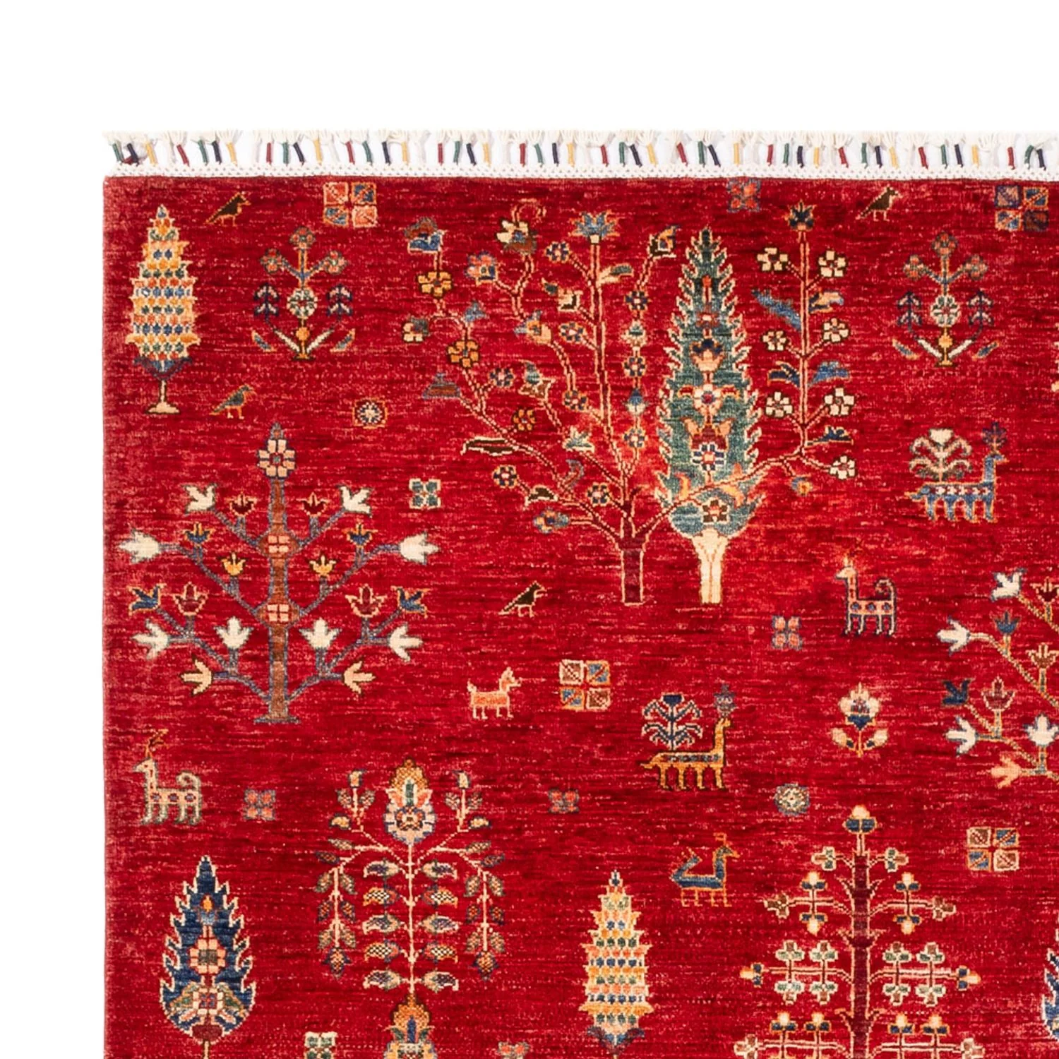 Ziegler Teppich - Ariana - 300 x 206 cm - rot - Image 3