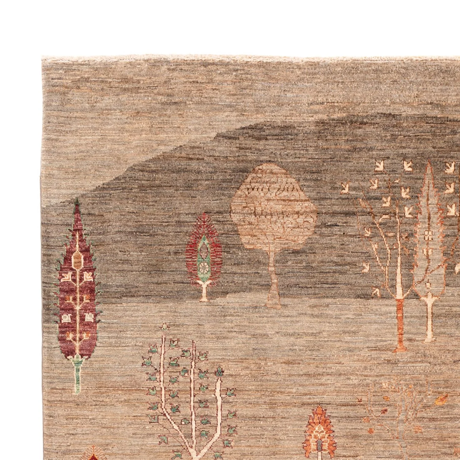 Ziegler Teppich - Ariana - 301 x 210 cm - beige - Image 3